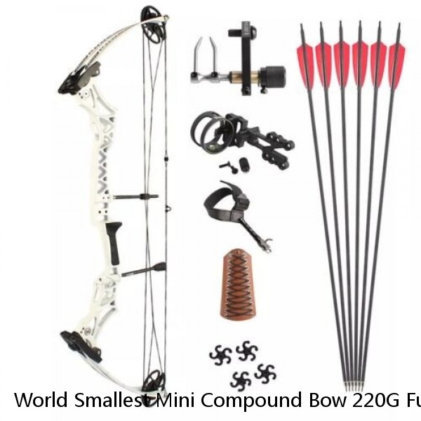 World Smallest Mini Compound Bow 220G Full Features For Kids Adult Deluxe Toy