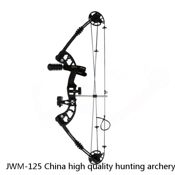JWM-125 China high quality hunting archery compound bow full set archery equipment compound bow kit
