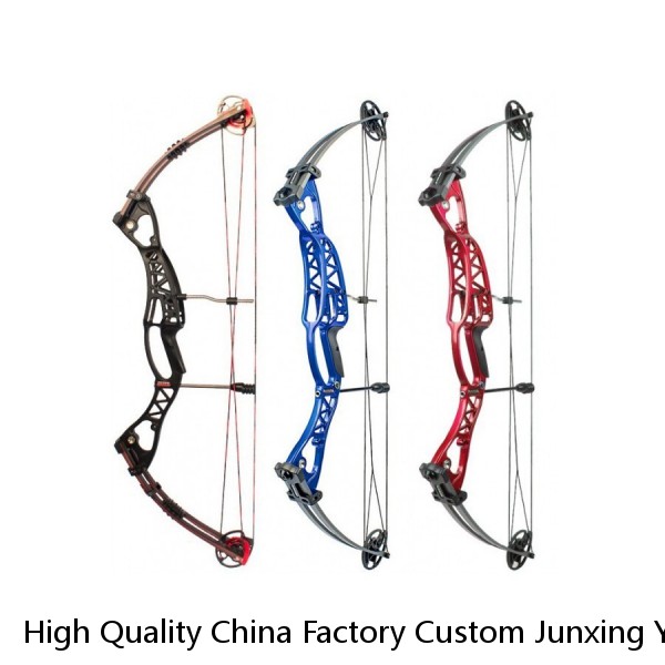 High Quality China Factory Custom Junxing Youth Archery Compound Bow Outdoor Hunting Shooting W451 Bow and Arrows Set