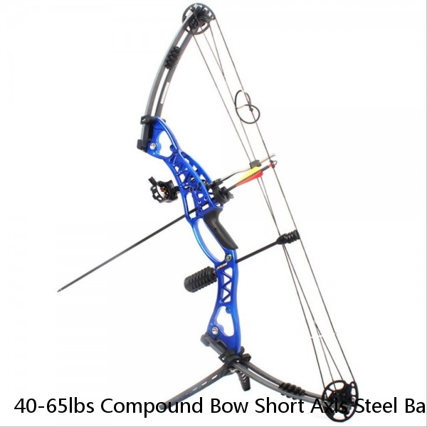 40-65lbs Compound Bow Short Axis Steel Ball Arrows Hunting Fishing Archery M109K