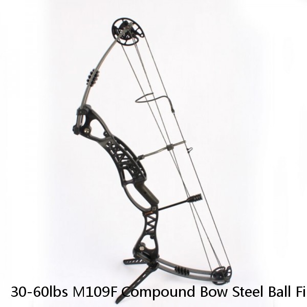30-60lbs M109F Compound Bow Steel Ball Fishing Hunting Catapult R/L Hand Archery