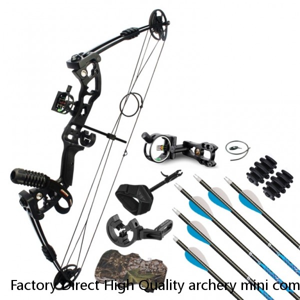 Factory Direct High Quality archery mini compound bow set cheap arrows compound bow