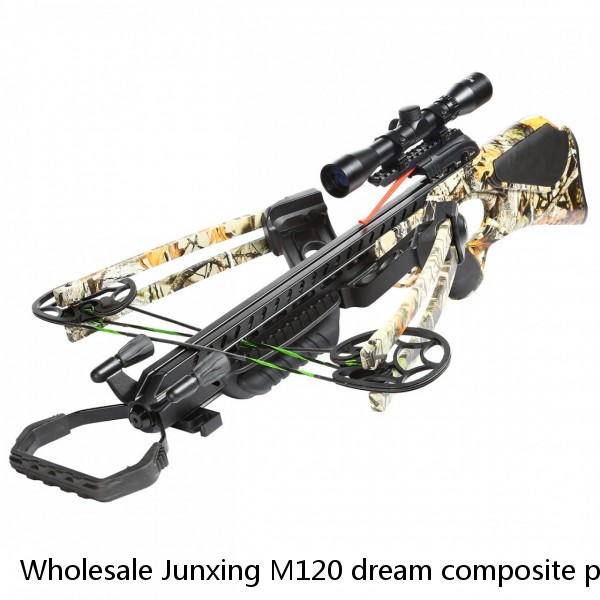 Wholesale Junxing M120 dream composite pulley bow and arrow tricolor optional outdoor sports tools 20-70 pounds