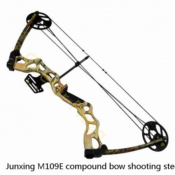 Junxing M109E compound bow shooting steel ball