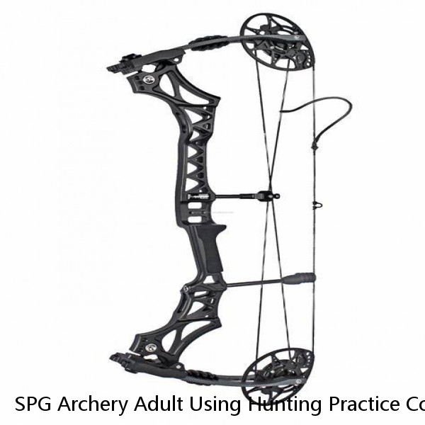 SPG Archery Adult Using Hunting Practice Complex Material 58" Recurve Bows on Sale